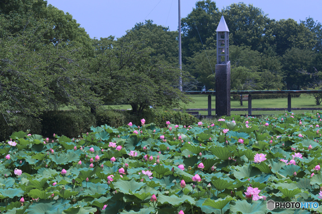 平成の森公園