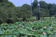 平成の森公園