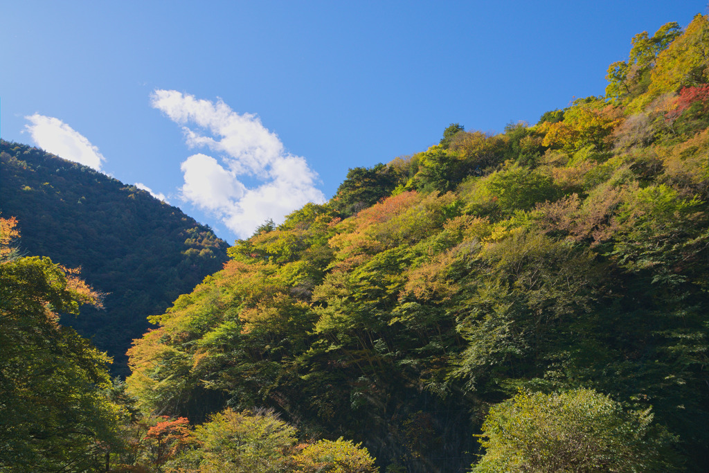 羽根戸トンネル