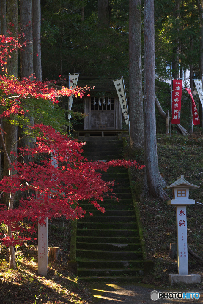 東郷公園