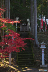 東郷公園