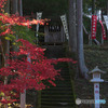 東郷公園