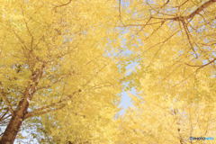 入間公園