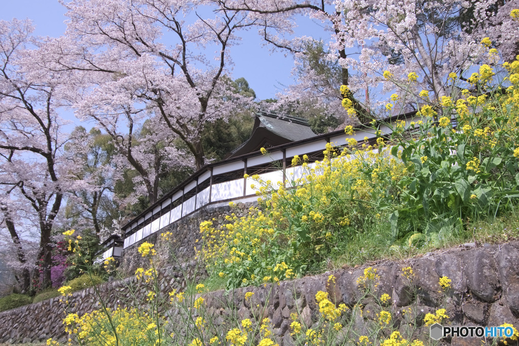 海禅寺