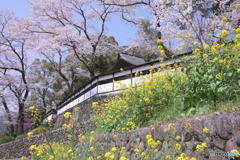 海禅寺
