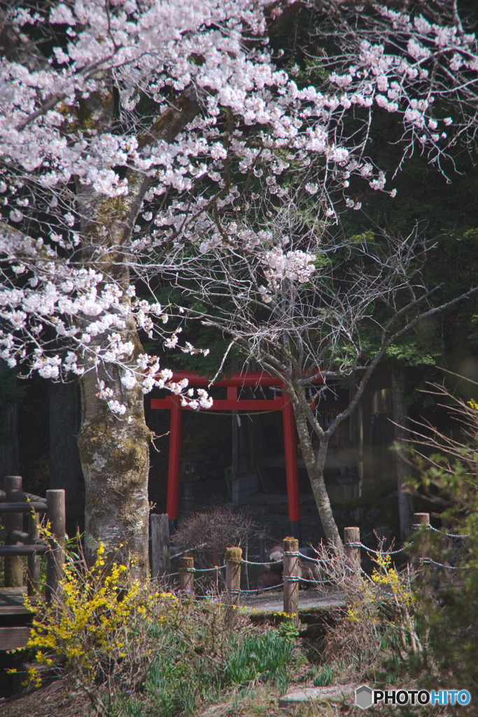 昌福寺のそばの鳥居