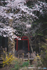 昌福寺のそばの鳥居