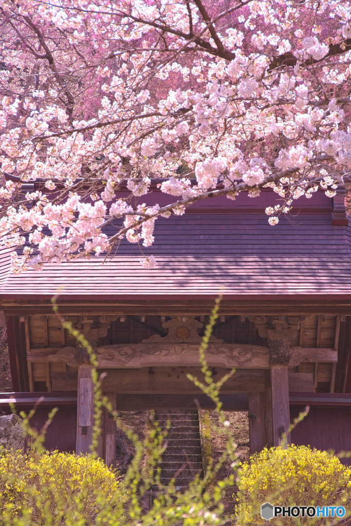 昌福寺