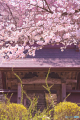昌福寺