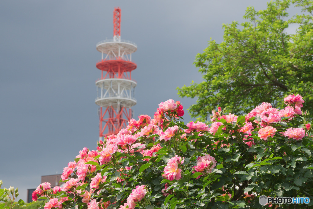 所沢航空記念公園