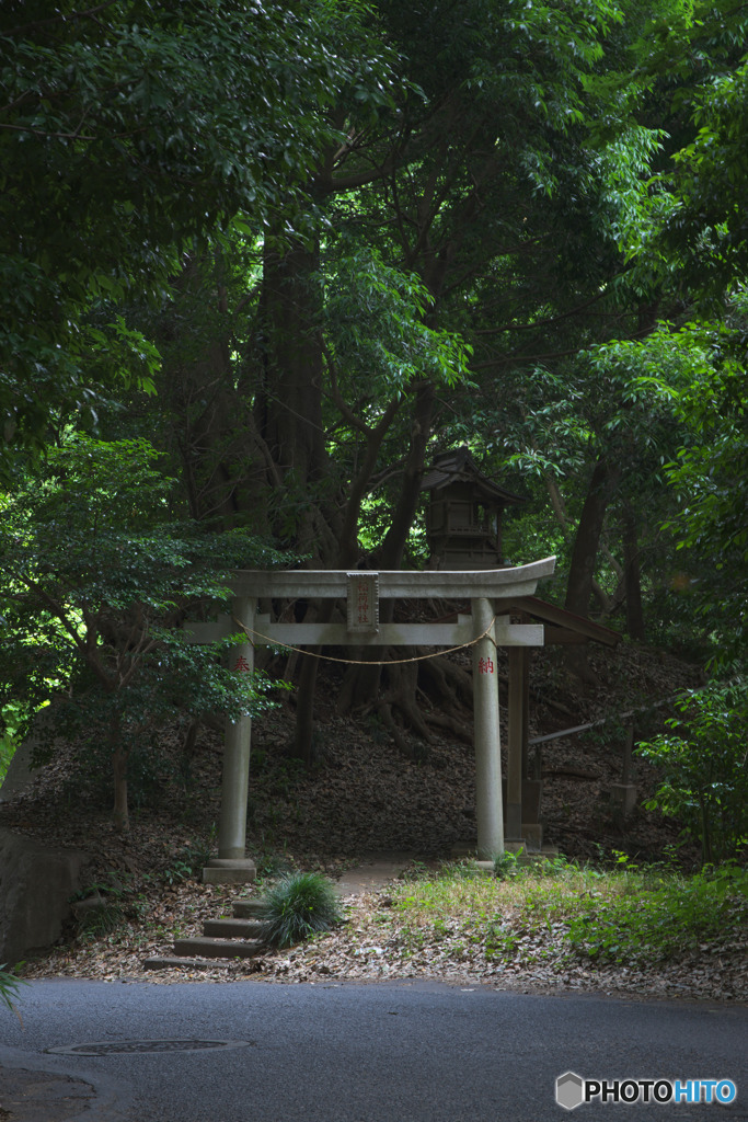 滝の城址公園