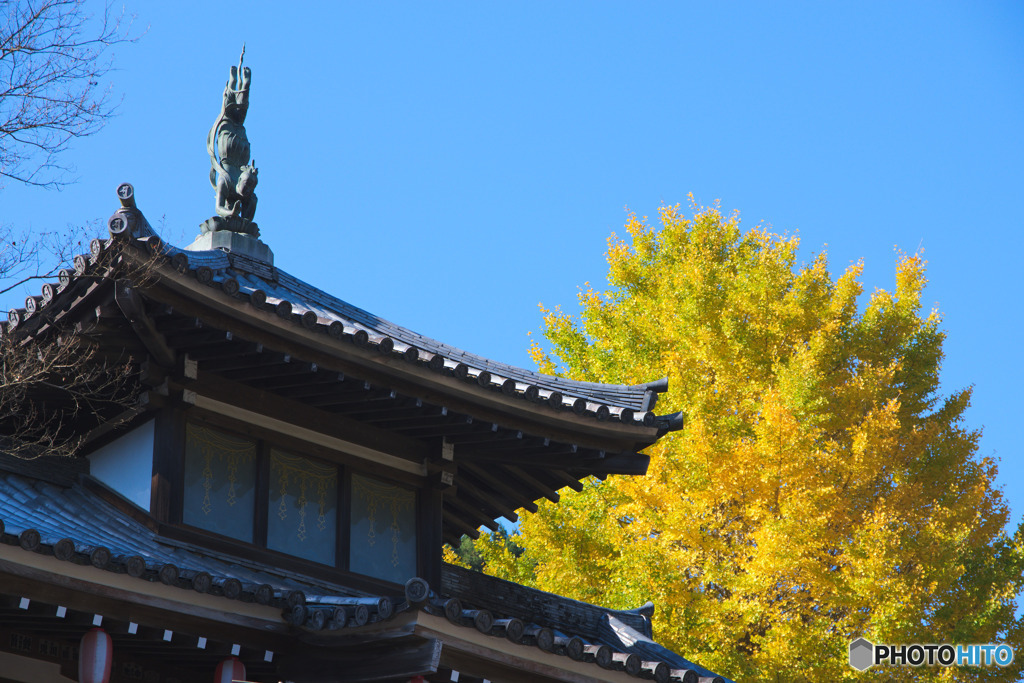 鳥居観音