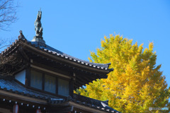 鳥居観音