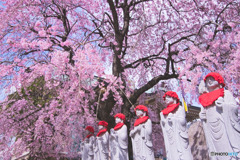 多聞寺の地蔵