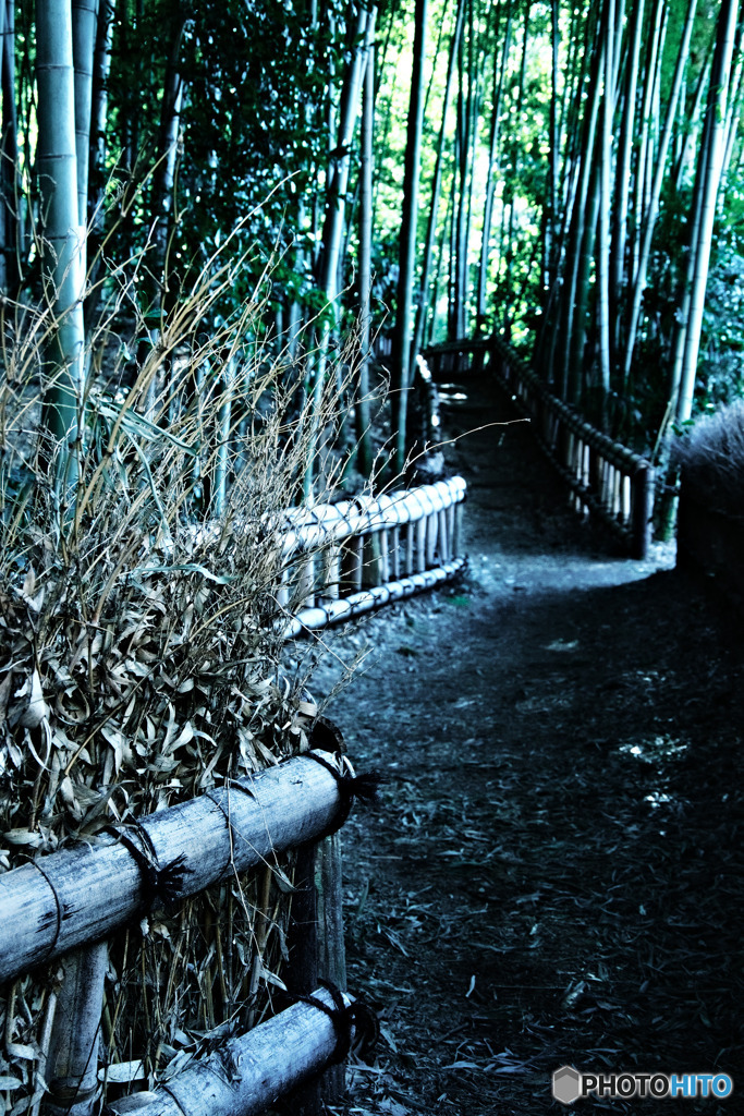 竹林公園