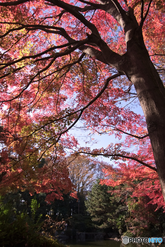 入間市、愛宕公園