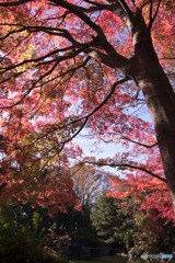 入間市、愛宕公園