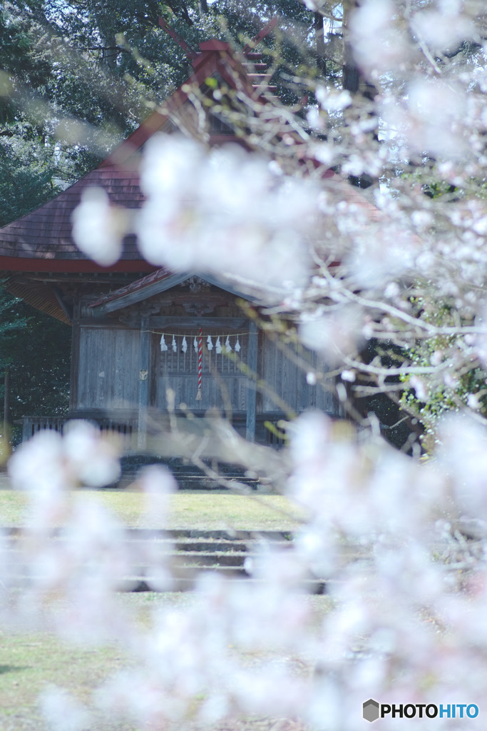 八幡神社（花桃の里）