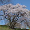 鉢形城公園