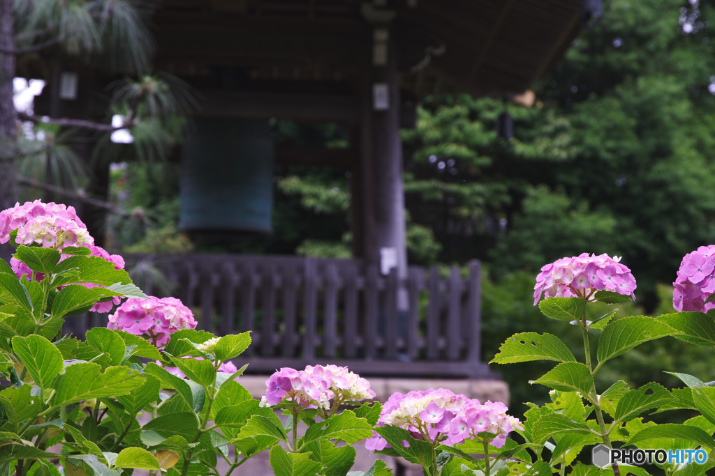 正覚寺