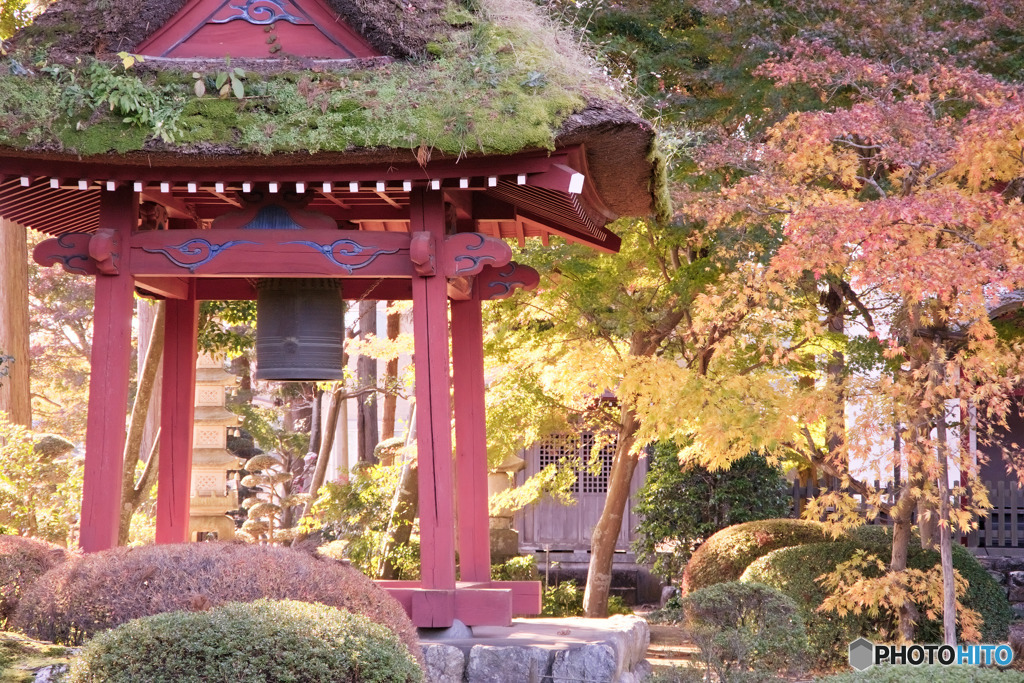 青梅市、安楽寺