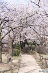 狭山池公園