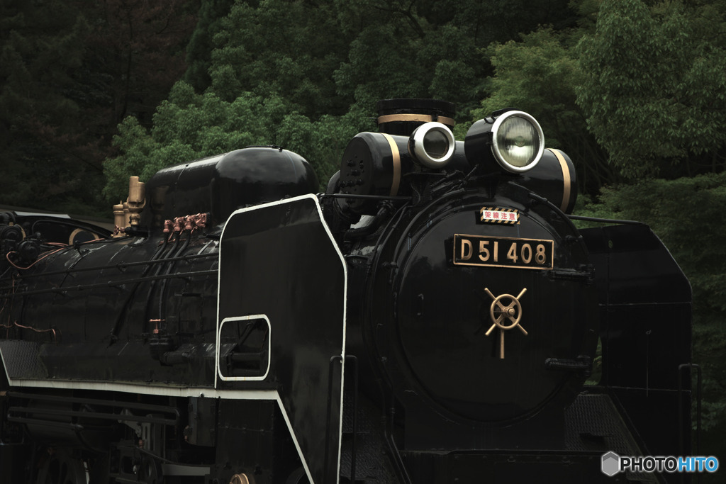生田緑地のD51
