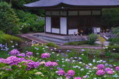 正覚寺