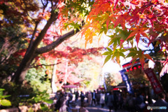 主題が額縁だ