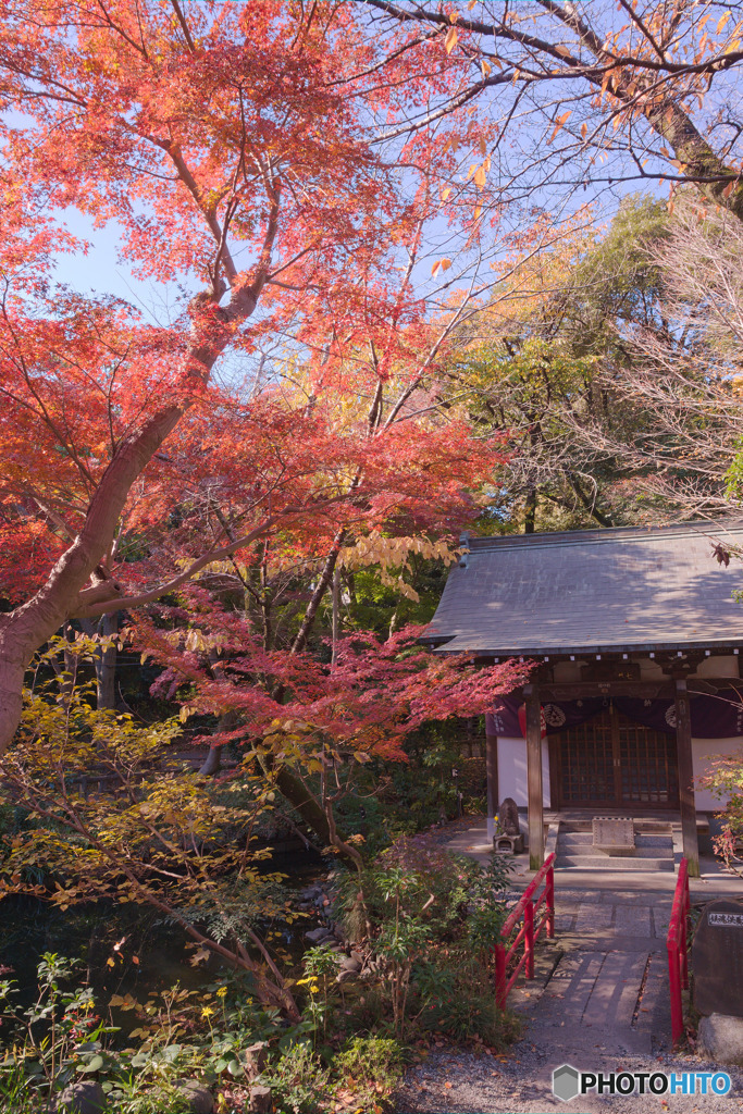 井の頭恩賜公園