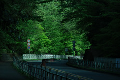 多摩湖自転車道