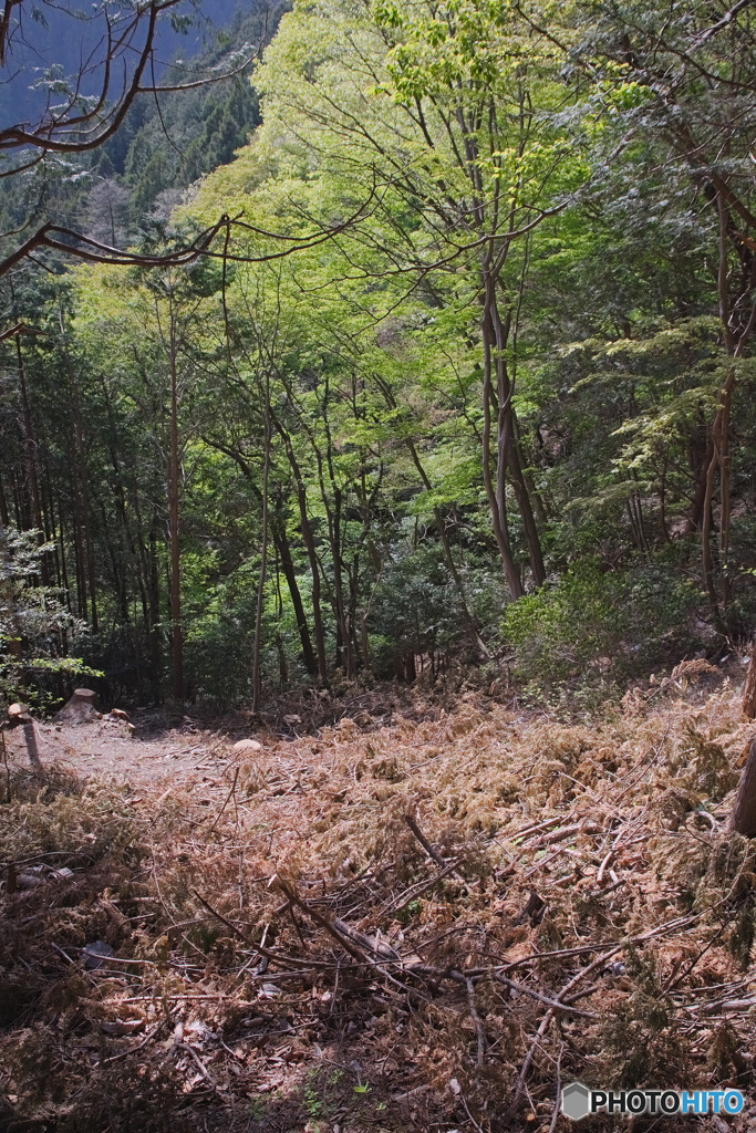 花立松ノ峠