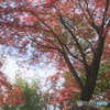 山本有三記念館