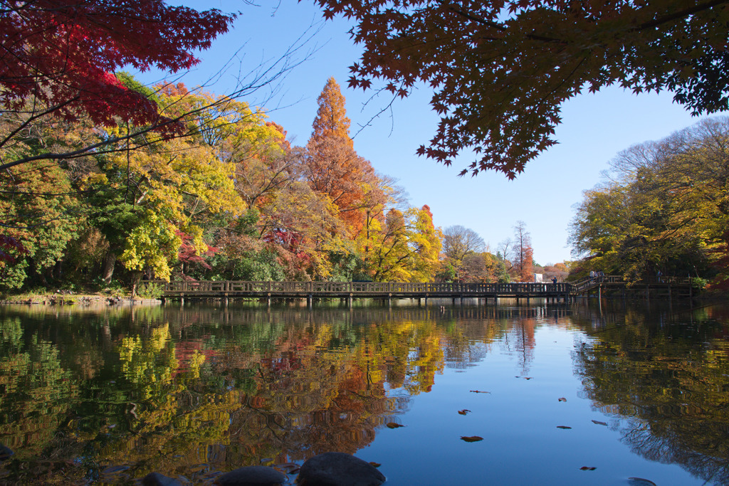 井の頭恩賜公園