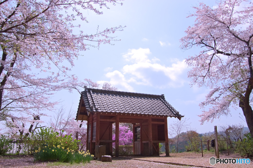 桂木観音