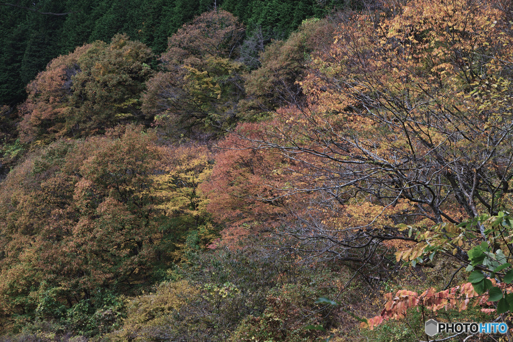 和田峠見晴台