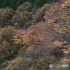 和田峠見晴台