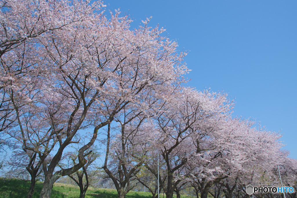 川越水上公園