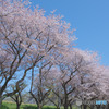 川越水上公園