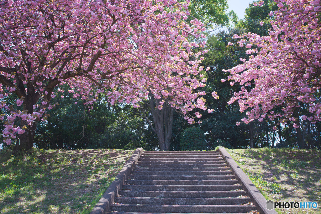 川越運動公園