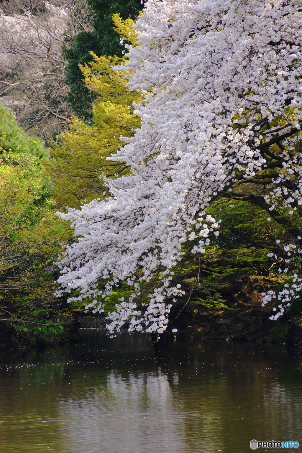 春の風景