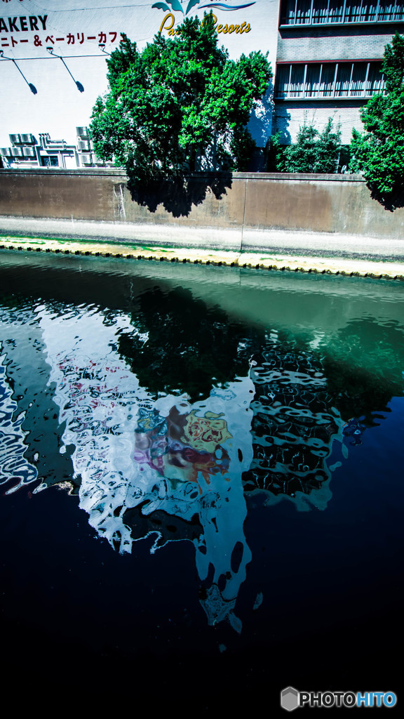 水面に反映