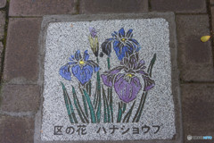 渋谷区の花