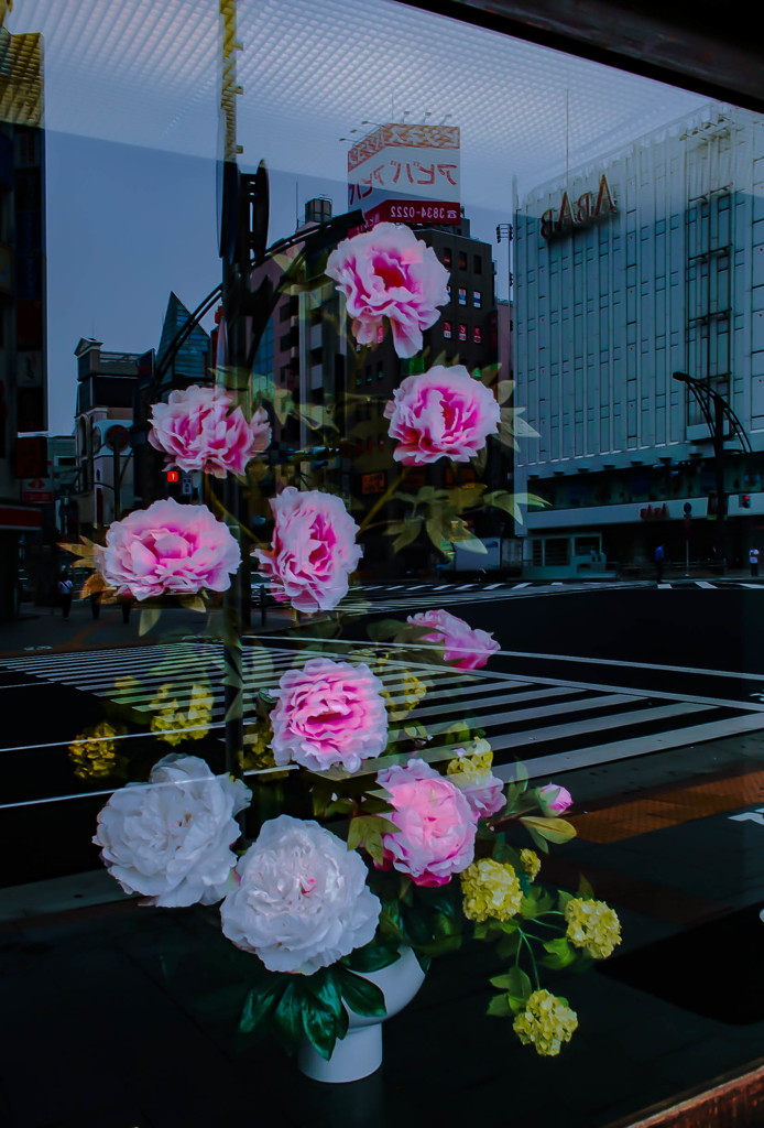 ショウウインドーの花