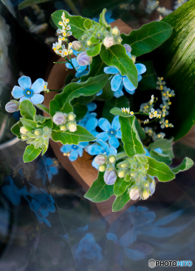 花