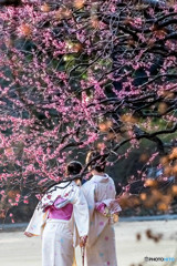 なかよし