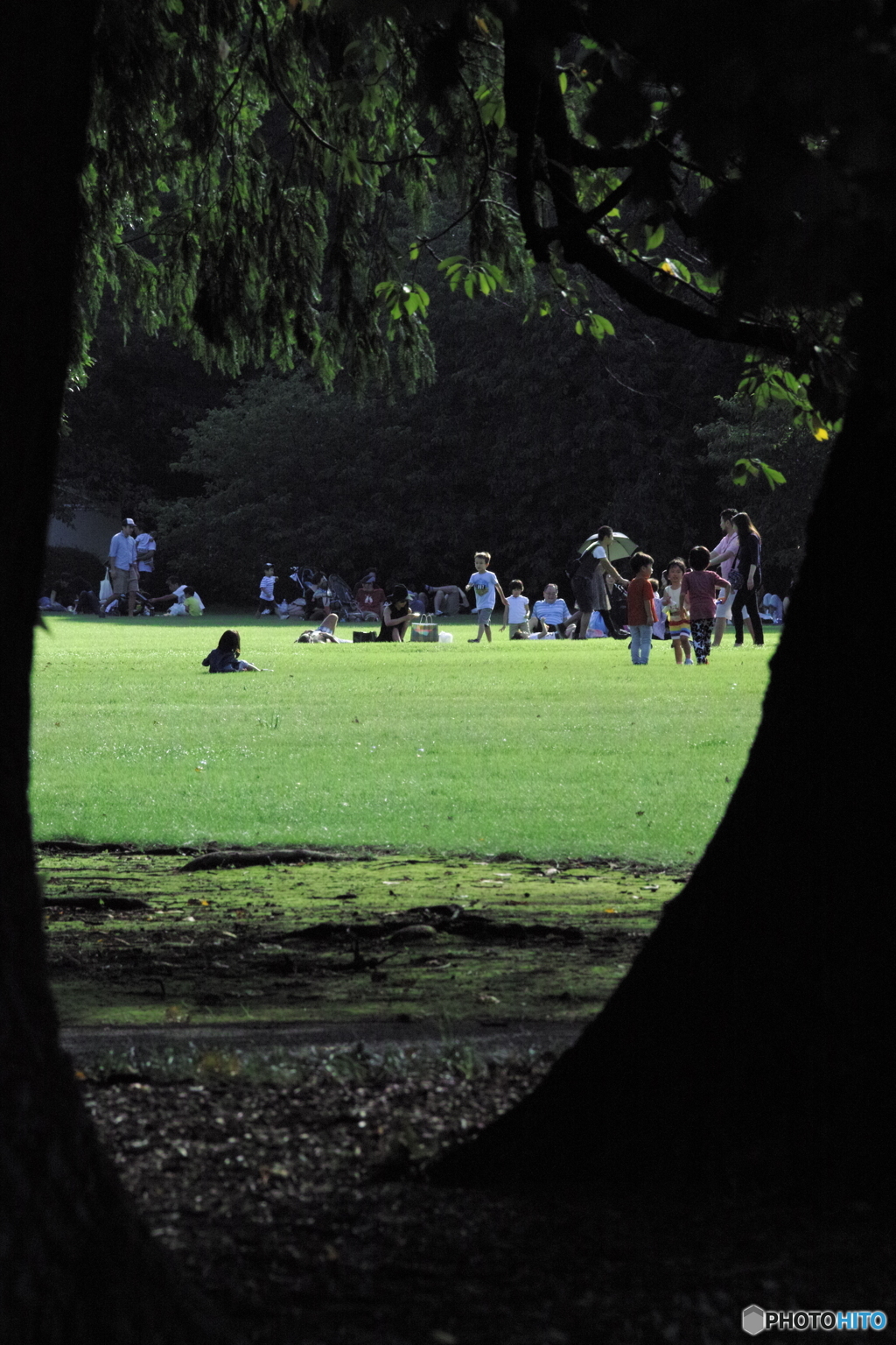 公園の一隅