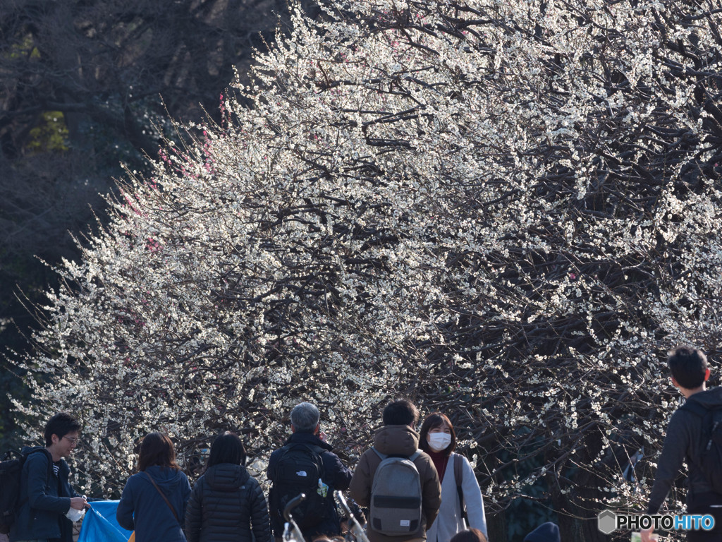 春の風景