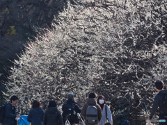 春の風景