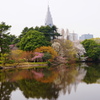 春の新宿御苑